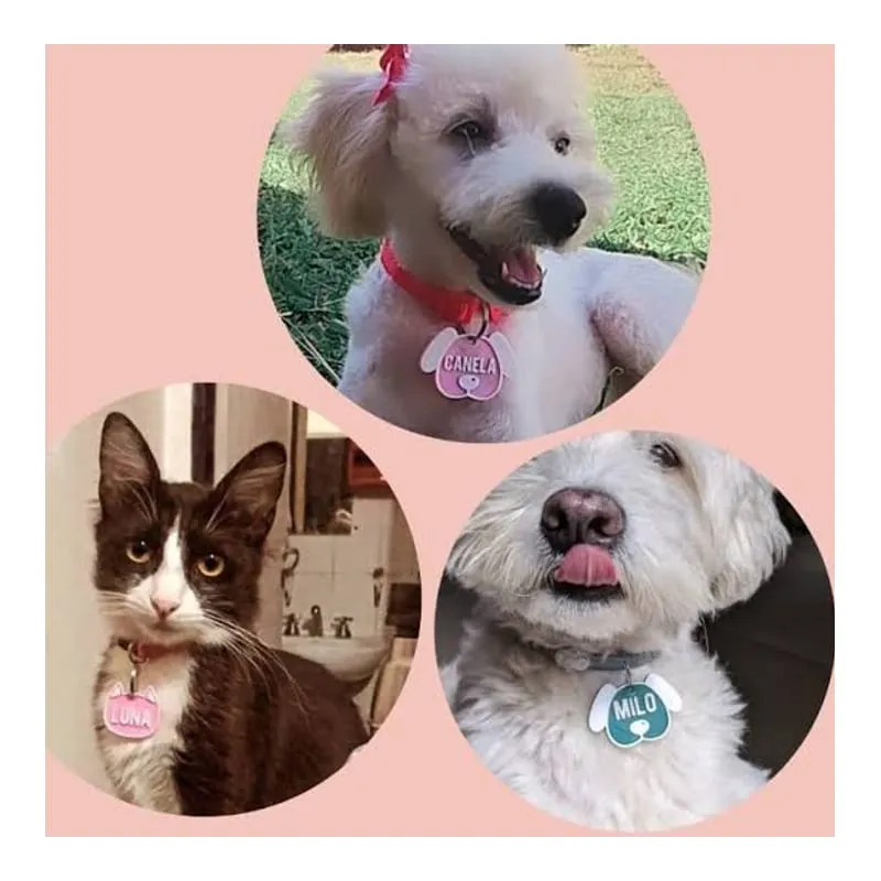 Kompi Collar regulable con chapita