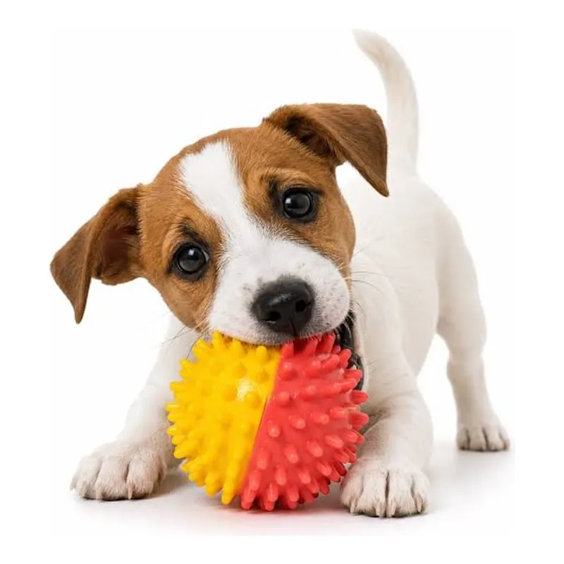 Kompi Pelota de goma con pinches